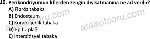 ata laborantvet 1952 10
