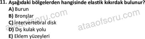 ata laborantvet 1952 11