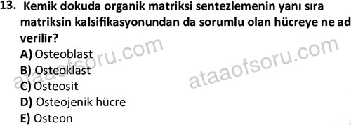 ata laborantvet 1952 13