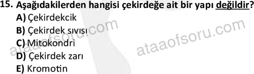 ata laborantvet 1952 15