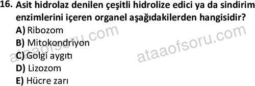ata laborantvet 1952 16