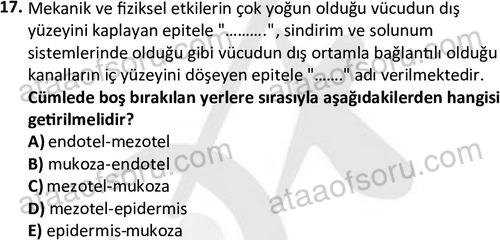 ata laborantvet 1952 17