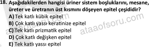 ata laborantvet 1952 18