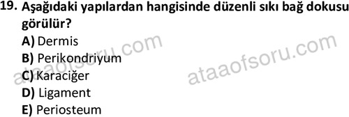 ata laborantvet 1952 19