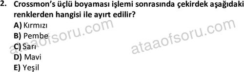 ata laborantvet 1952 2