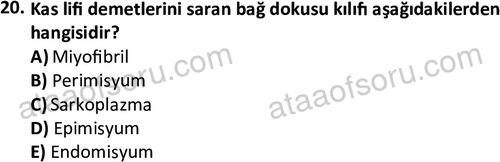 ata laborantvet 1952 20