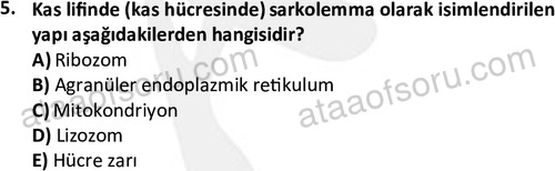 ata laborantvet 1952 5