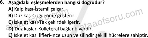 ata laborantvet 1952 6