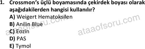 ata laborantvet 1952 1