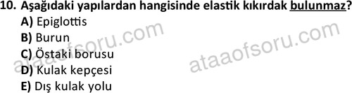 ata laborantvet 1952 10