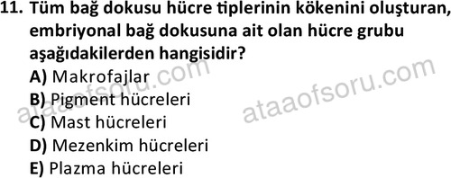 ata laborantvet 1952 11