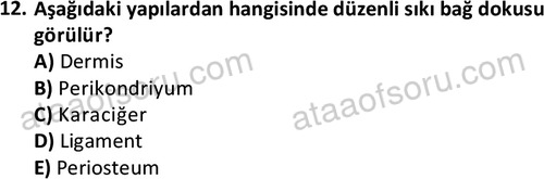 ata laborantvet 1952 12