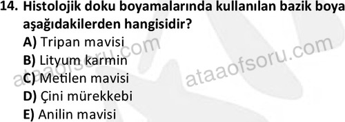 ata laborantvet 1952 14