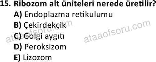 ata laborantvet 1952 15