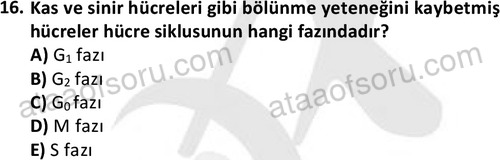 ata laborantvet 1952 16