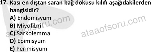 ata laborantvet 1952 17