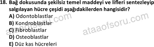 ata laborantvet 1952 18