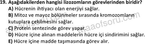 ata laborantvet 1952 19