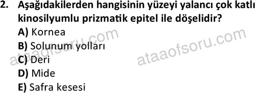 ata laborantvet 1952 2
