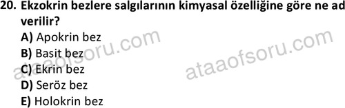 ata laborantvet 1952 20