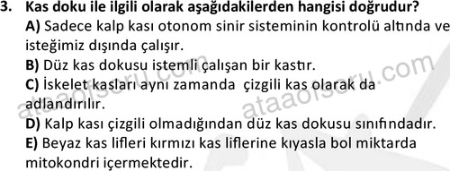 ata laborantvet 1952 3