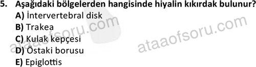 ata laborantvet 1952 5