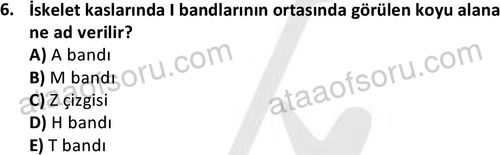 ata laborantvet 1952 6