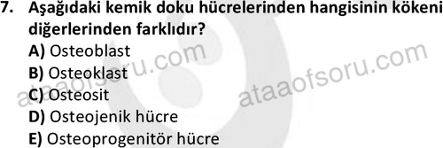ata laborantvet 1952 7