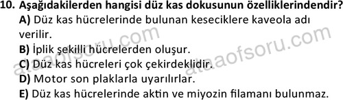 ata laborantvet 1952 10