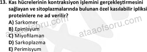 ata laborantvet 1952 13