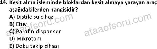 ata laborantvet 1952 14