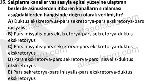 ata laborantvet 1952 16