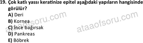 ata laborantvet 1952 19
