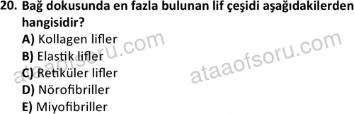 ata laborantvet 1952 20