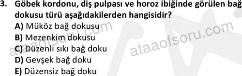 ata laborantvet 1952 3