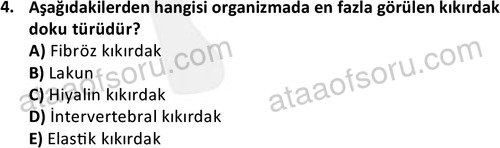 ata laborantvet 1952 4