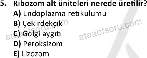 ata laborantvet 1952 5