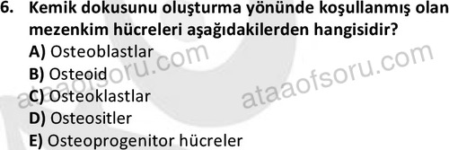 ata laborantvet 1952 6