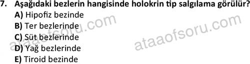 ata laborantvet 1952 7