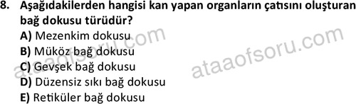 ata laborantvet 1952 8