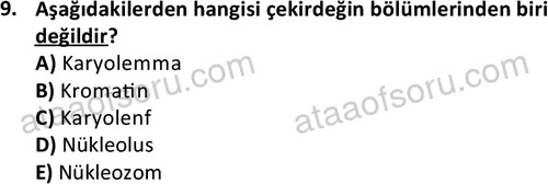 ata laborantvet 1952 9