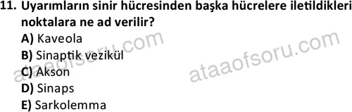 ata laborantvet 1952 11