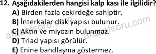 ata laborantvet 1952 12