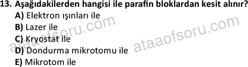 ata laborantvet 1952 13