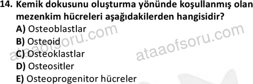 ata laborantvet 1952 14