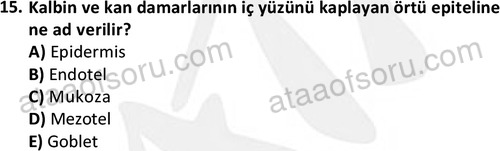 ata laborantvet 1952 15