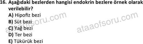 ata laborantvet 1952 16