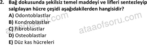 ata laborantvet 1952 2