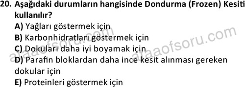 ata laborantvet 1952 20