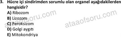 ata laborantvet 1952 3